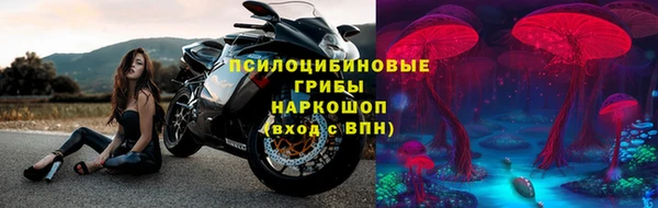 PSILOCYBIN Бородино