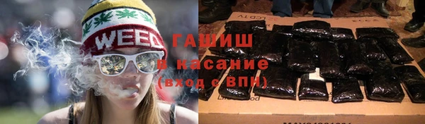 PSILOCYBIN Бородино
