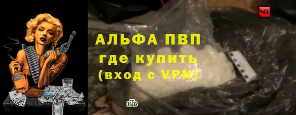 PSILOCYBIN Бородино