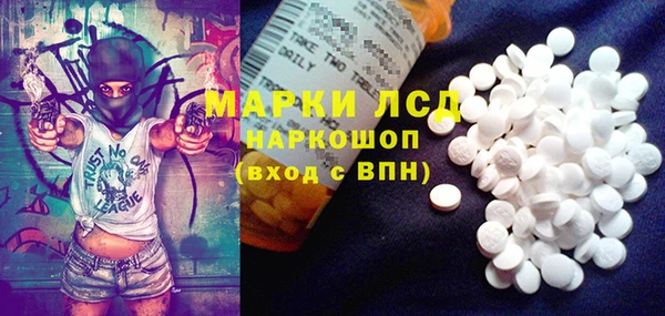 PSILOCYBIN Бородино