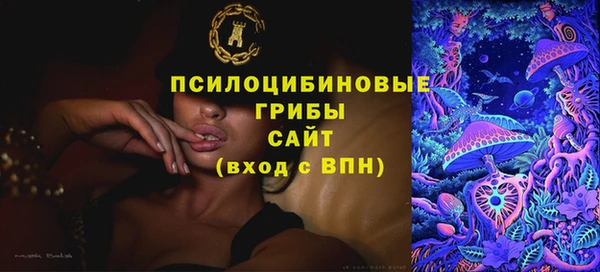 PSILOCYBIN Бородино