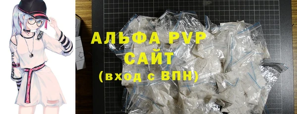PSILOCYBIN Бородино