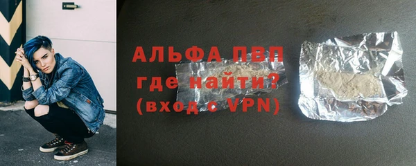 PSILOCYBIN Бородино